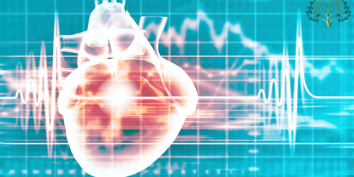 Global Conference on Cardiology