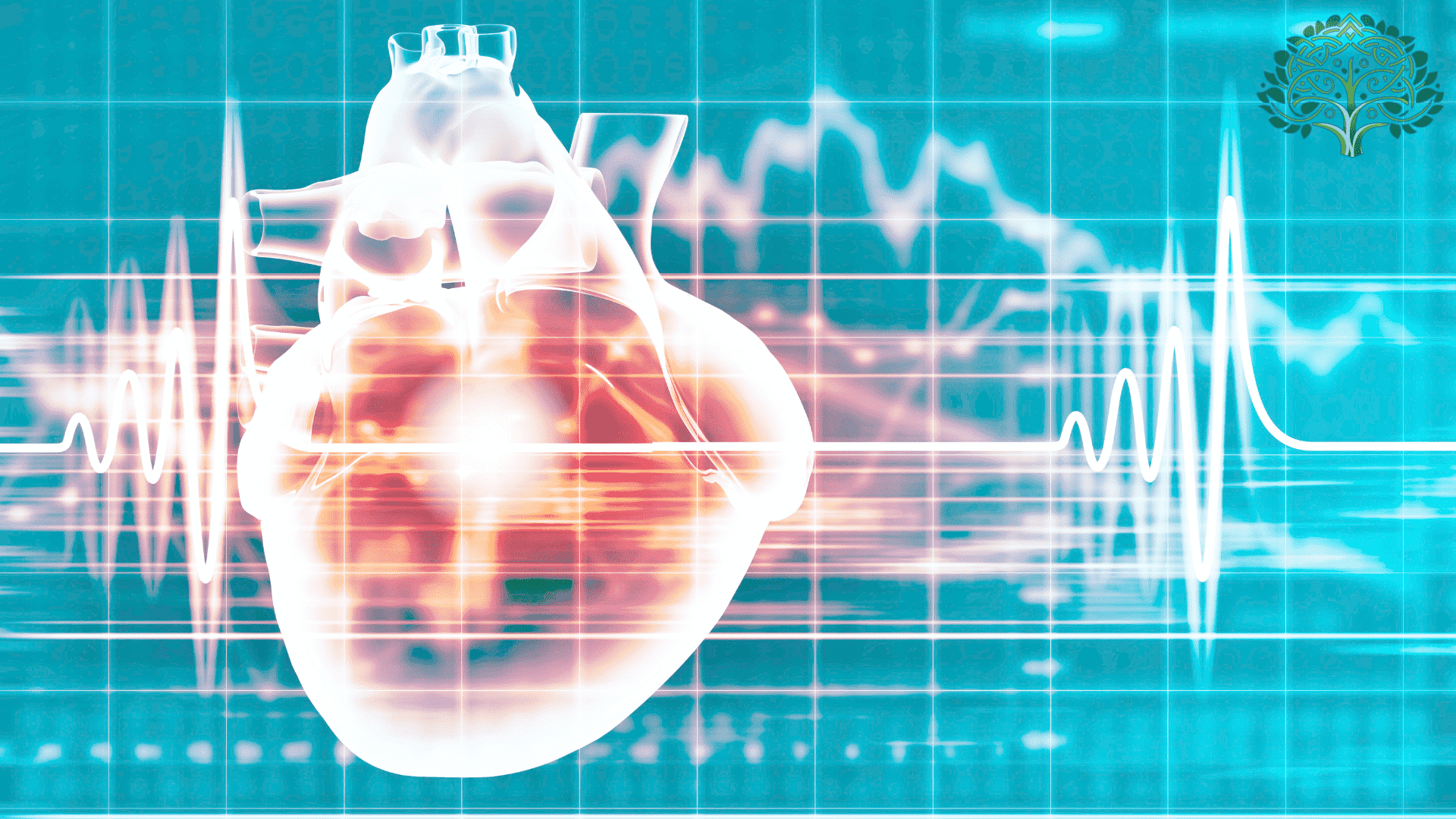 Global Conference on Cardiology