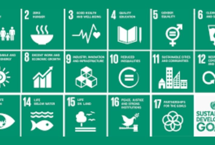 Sustainable Development Goals Reasons Solutions Development