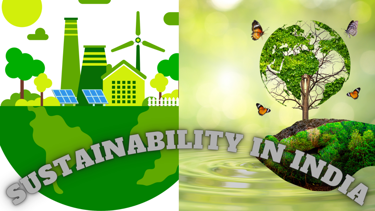 sustainability in india