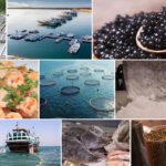 The 8th Int Fisheries Industry Exhibition (IFEX 2024)