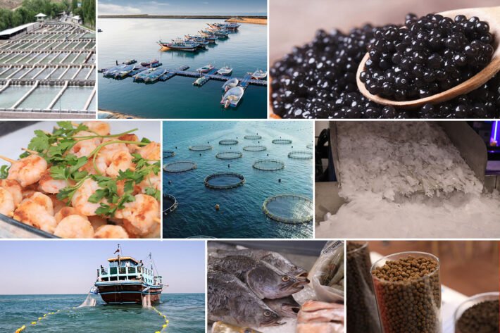 The 8th Int Fisheries Industry Exhibition (IFEX 2024)