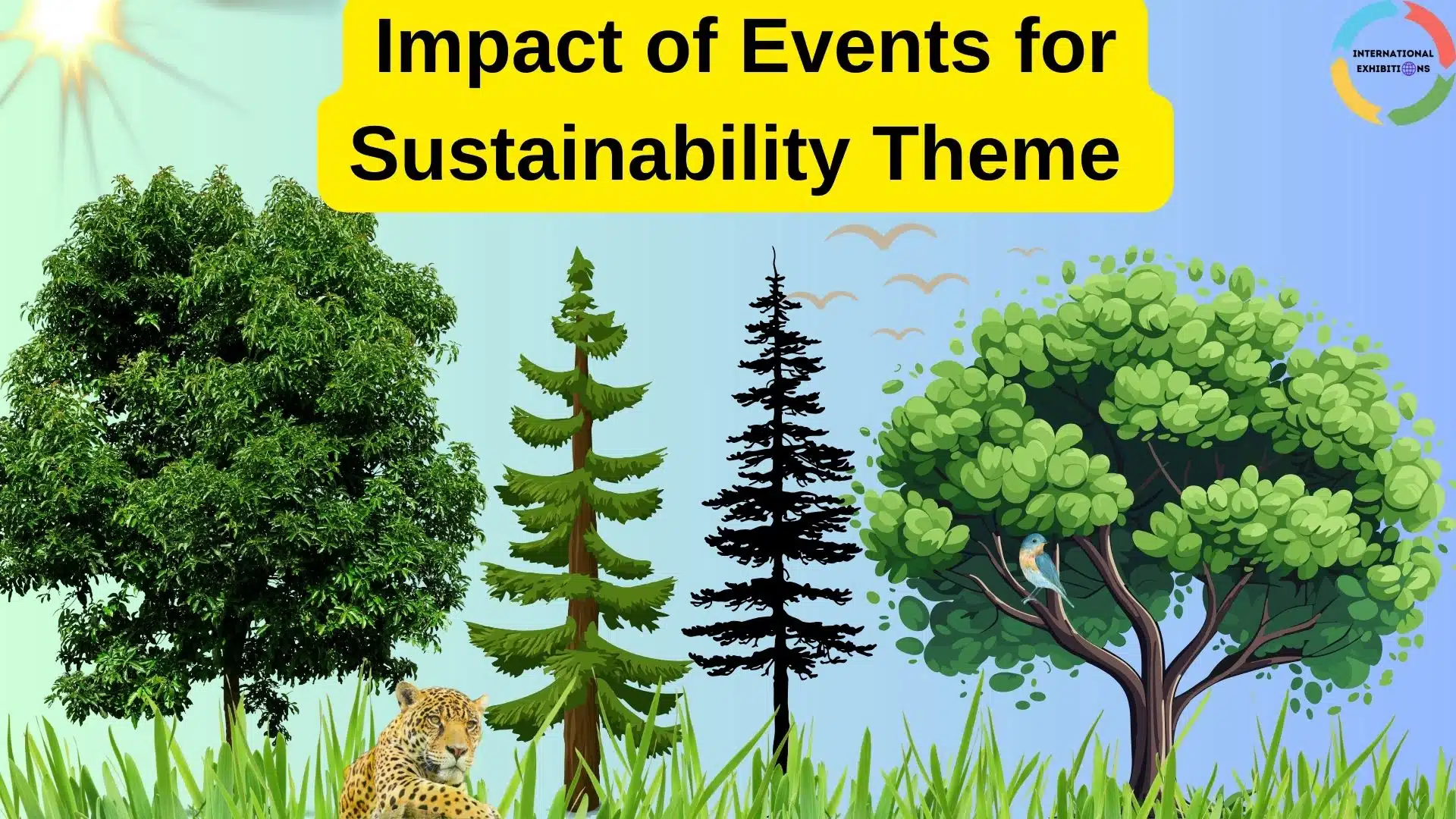 Impact of Events for Sustainability Theme