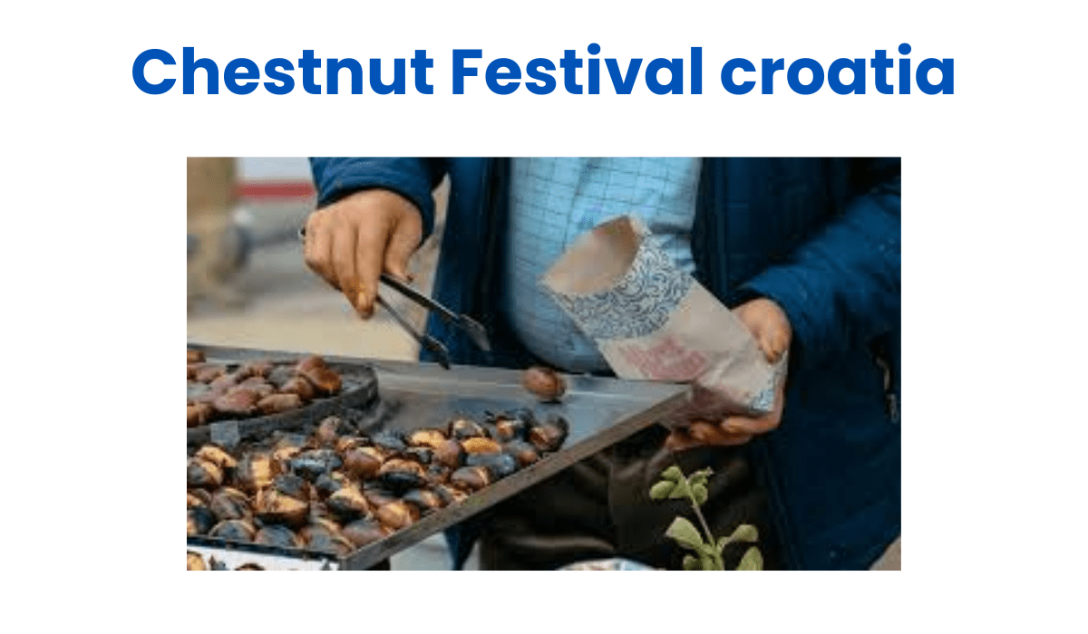 Hidden Summer Festivals in Croatia You have Never Heard Of (2025 Guide) 2 4 2