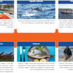 The 9th International Fisheries Industry Exhibition (IFEX 2025)