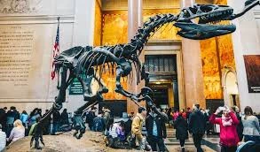 Where to Find the Best Museum Events in the USA