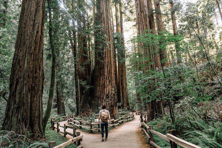 San Francisco, Muir Woods, Sausalito and Optional Alcatraz Tour