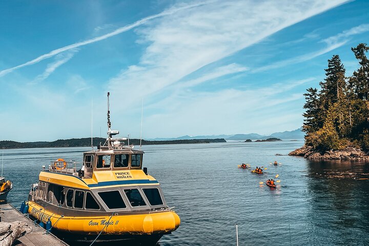 Vancouver Island Half-Day Whale Watching Tour – Telegraph Cove