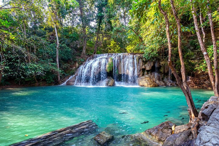 Erawan Waterfall and Elephant Care: Private Tour to Kanchanabur