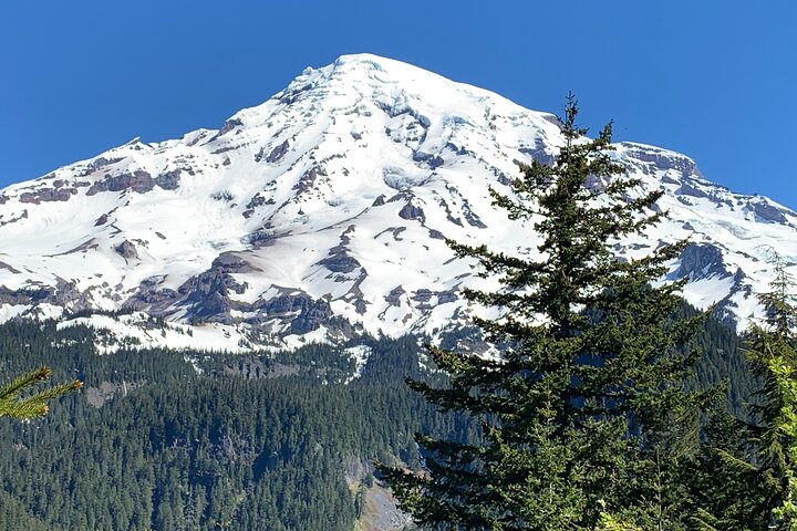 Guided hike on Mt. Rainier – old forest, falls and glacier views