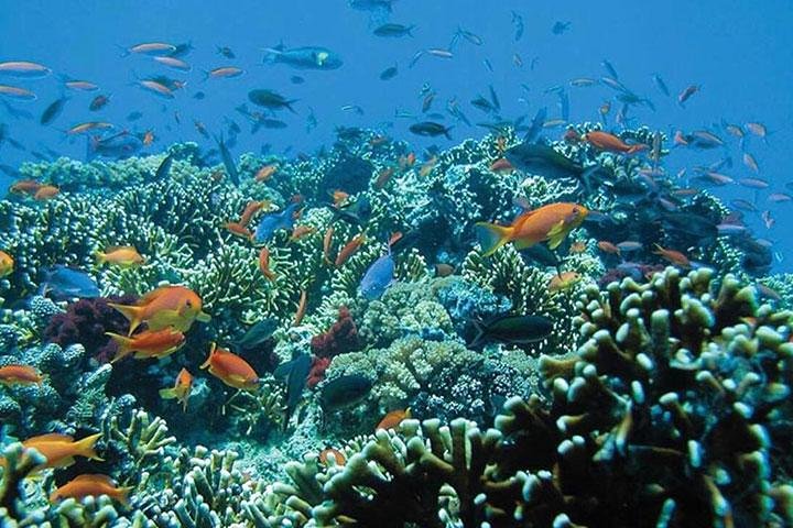 Bali Snorkeling Tour at Blue Lagoon Beach – All-Inclusive