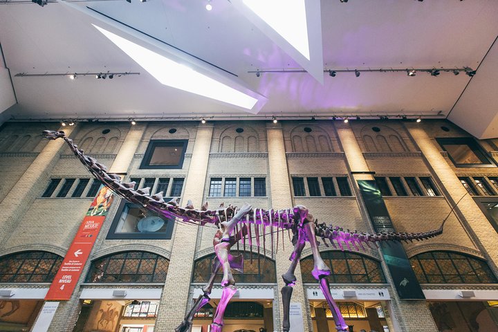 Royal Ontario Museum Admission