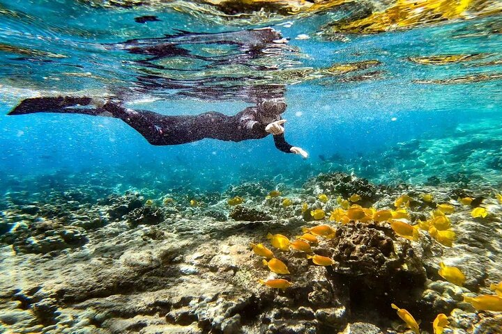 Two Reef Snorkel Trip-See Captain Cook Monument & Sea Caves