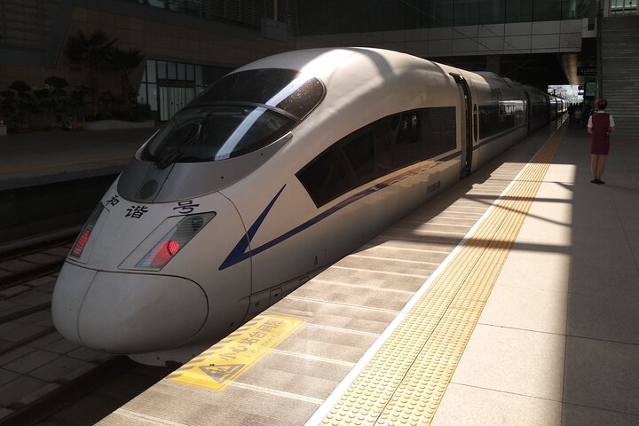 Private Transfer: Train Stations (Tianjin/Tanggu) to Tianjin Cruise Port