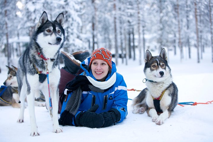 Lapland Reindeer and Husky Safari from Rovaniemi