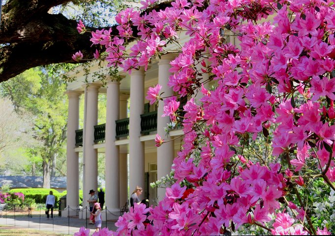 Oak Alley Plantation Tour with Transportation from New Orleans