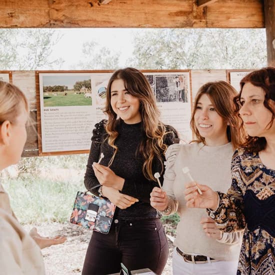 The Farmgate Experience – Gather & Cook, Chittering