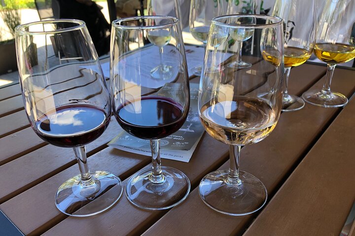 Relaxing Afternoon Wine Tour through Niagara’s Wine Country