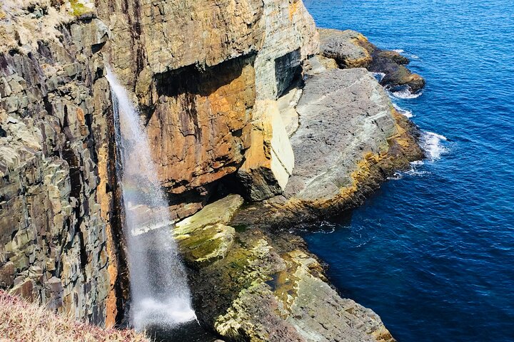 St. John’s Coastal Hike with Top Local Guide Deneen