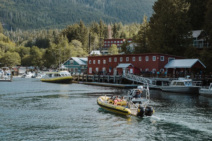 Vancouver Island Zodiac Whale Watching Adventure – Telegraph Cove