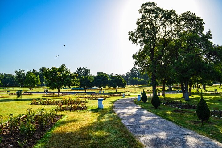 Nature Walk of Chandigarh( 2 Hours Walking Tour)