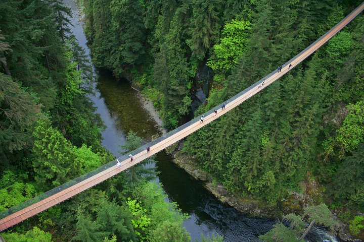 Post-cruise: Vancouver Tour with Lookout & Capilano Bridge