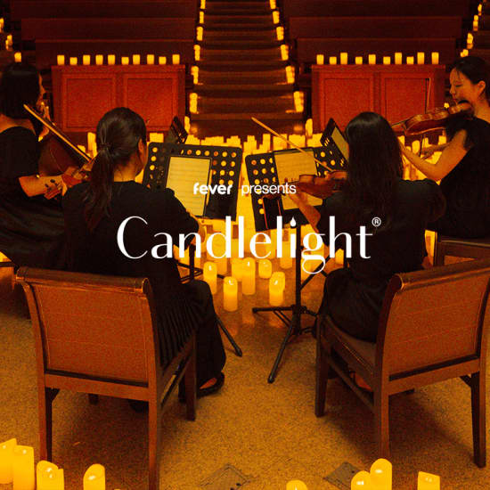 Candlelight: 夢と魔法の世界のハーモニー