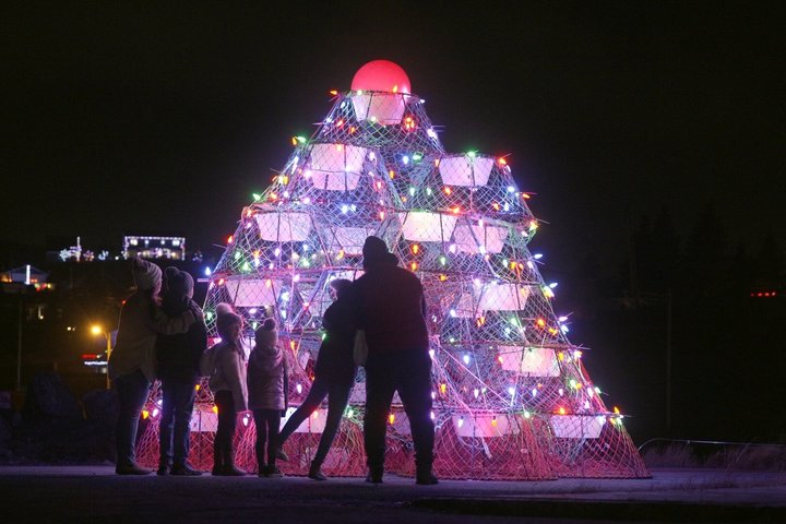 Holiday Lights Bus Tour from St Johns to Port de Grave