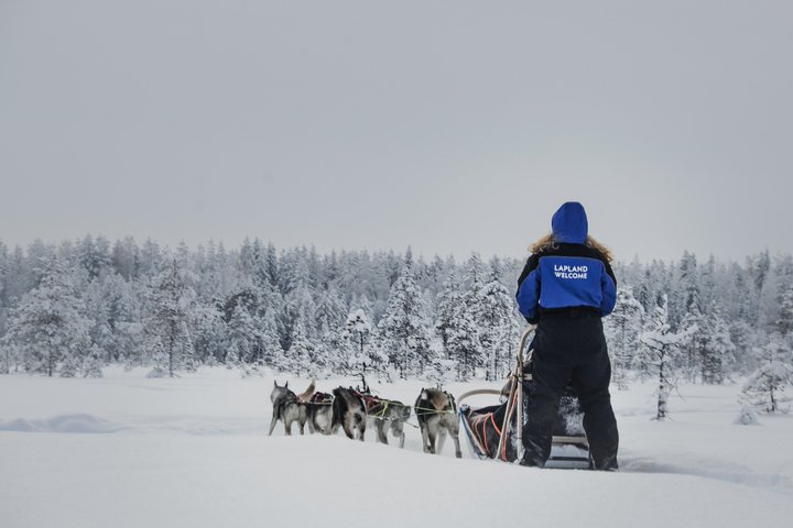 Husky Farm Visit with Husky Safari – Saariselkä
