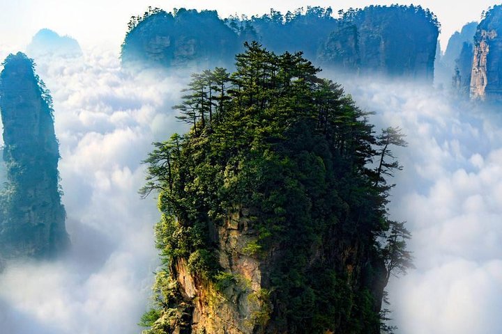 1 “Pandora” Day Trip-Zhangjiajie National Park(Avatar Mountain Scenery)