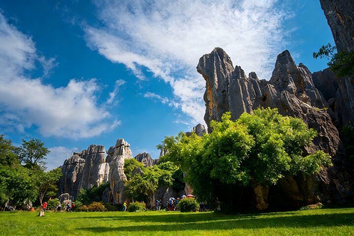Private Tour of Stone Forest Geological Park in Kunming