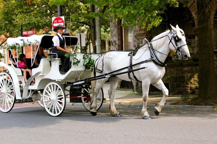 Carriage Ride in Central Park (VIP – PRIVATE) Since 1964™