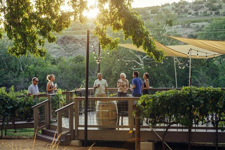 Verde Valley Wine Tour – 4 Vineyards, Limo Style Bus, Charcuterie