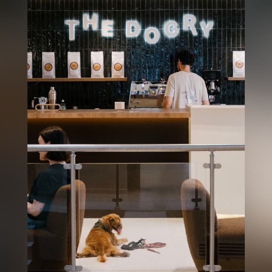 The Dogry, lieu de vie de 400 m² dédié aux chiens – Paris
