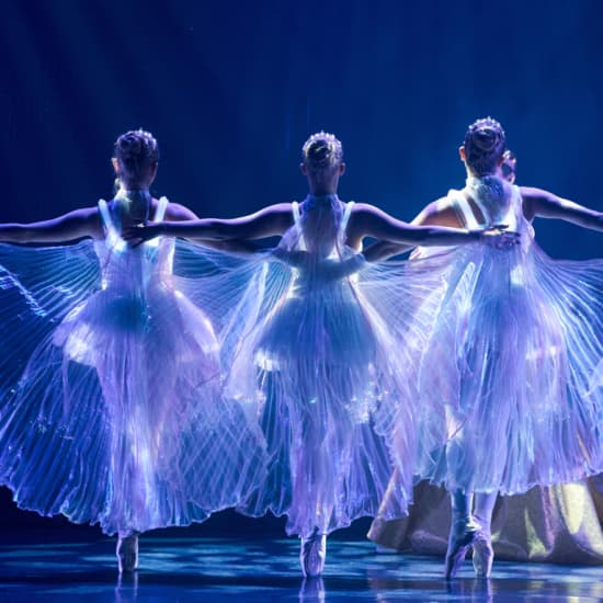 Ballet of Lights – Cartão-presente