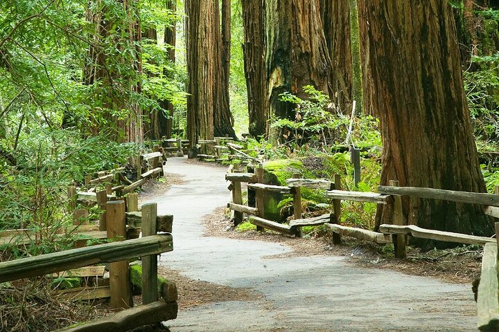 Ultimate 2026 California Travel Bible: 35 Best Tours, Daily Budget Guide, Age-Wise Tips and Bucket-List Experiences
