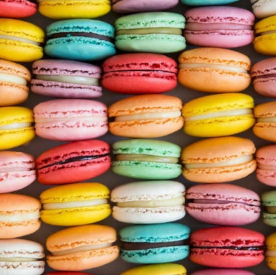 Classic French Macarons – Tampa