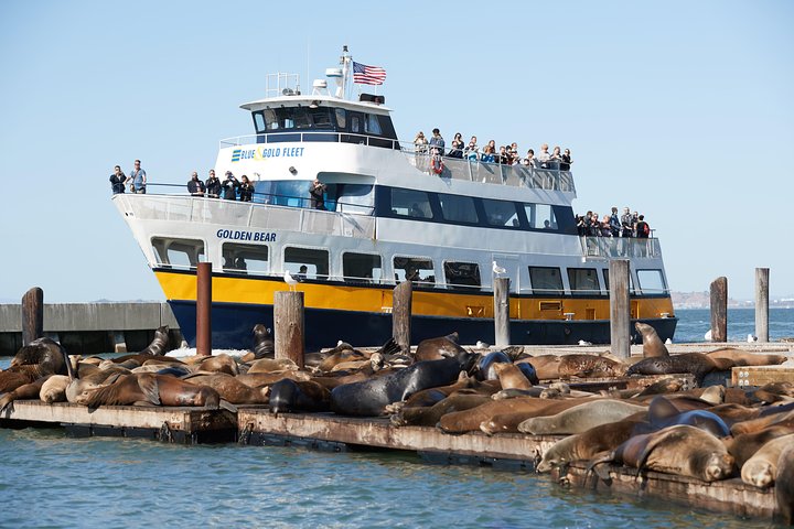 San Francisco Bay Cruise
