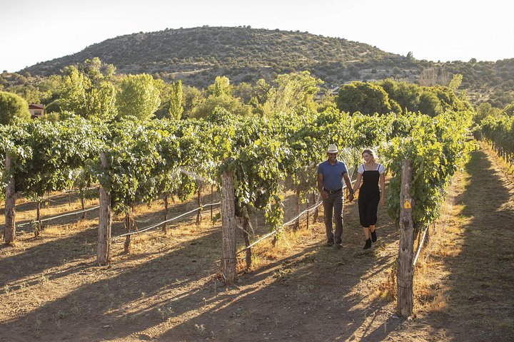 Bliss – Sedona’s Most Luxurious Wine Tour – Lunch Included!