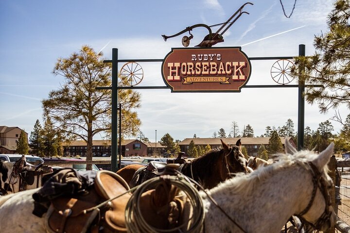 Ruby’s Horseback Adventures Utah 1.5 Hour Ride