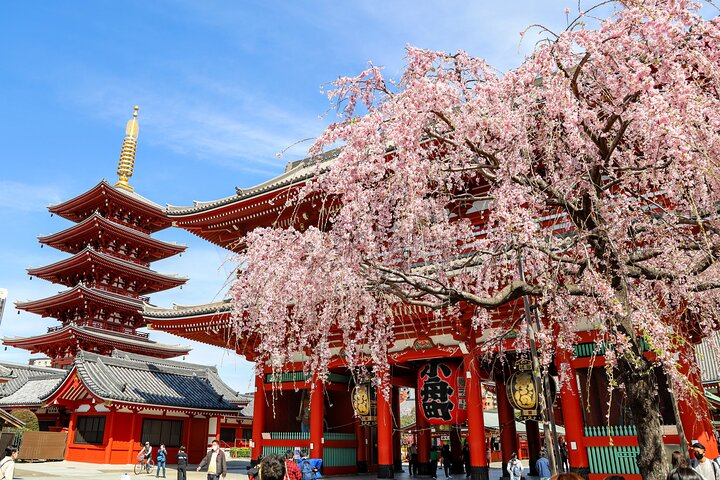 1-Day Tokyo Bus Tour