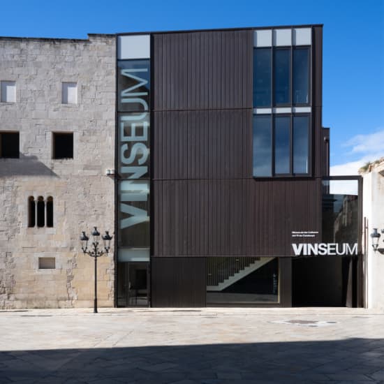 Entrada VINSEUM con degustación de vinos catalanes (3 vinos)