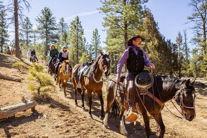 Ruby’s Horseback Adventures Utah Thunder Mt. 4 Hour Ride
