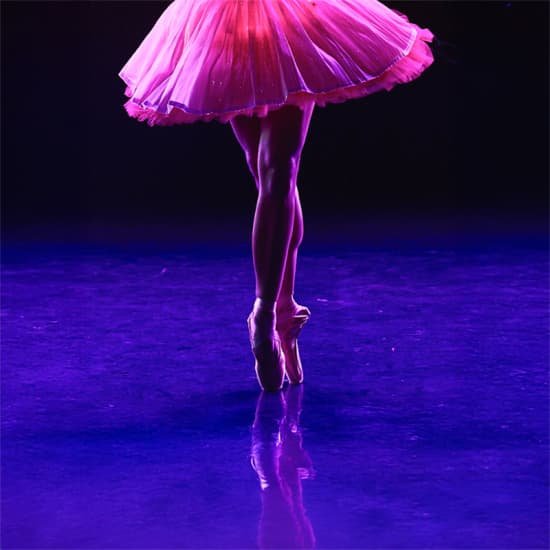 Ballet of Lights: Sleeping Beauty in a Sparkling Show